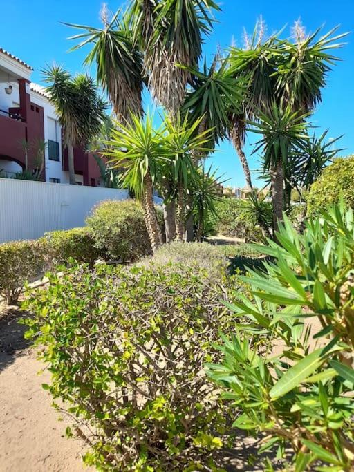 Apartamento Playa La Barrosa Chiclana de la Frontera Dış mekan fotoğraf