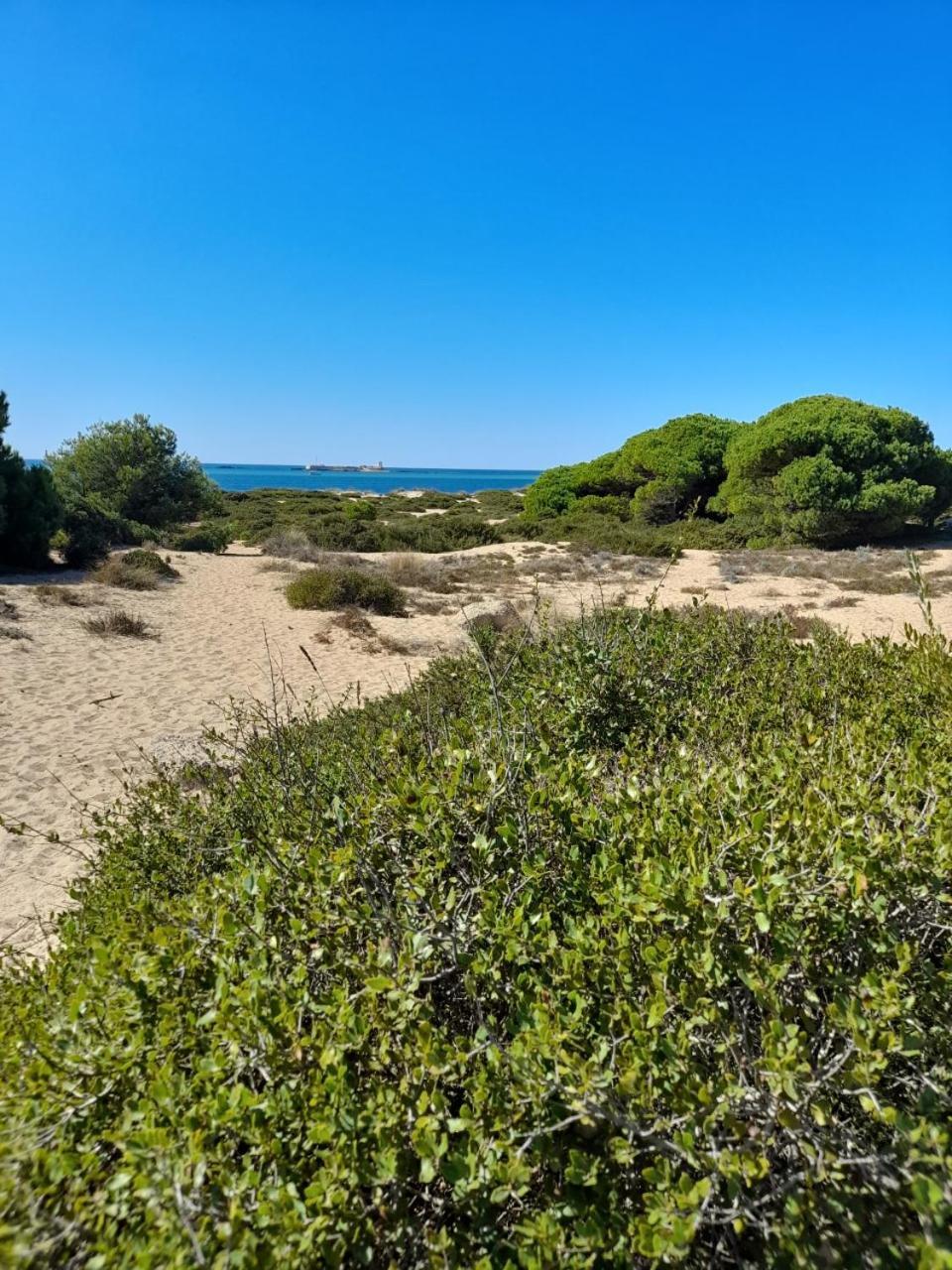 Apartamento Playa La Barrosa Chiclana de la Frontera Dış mekan fotoğraf