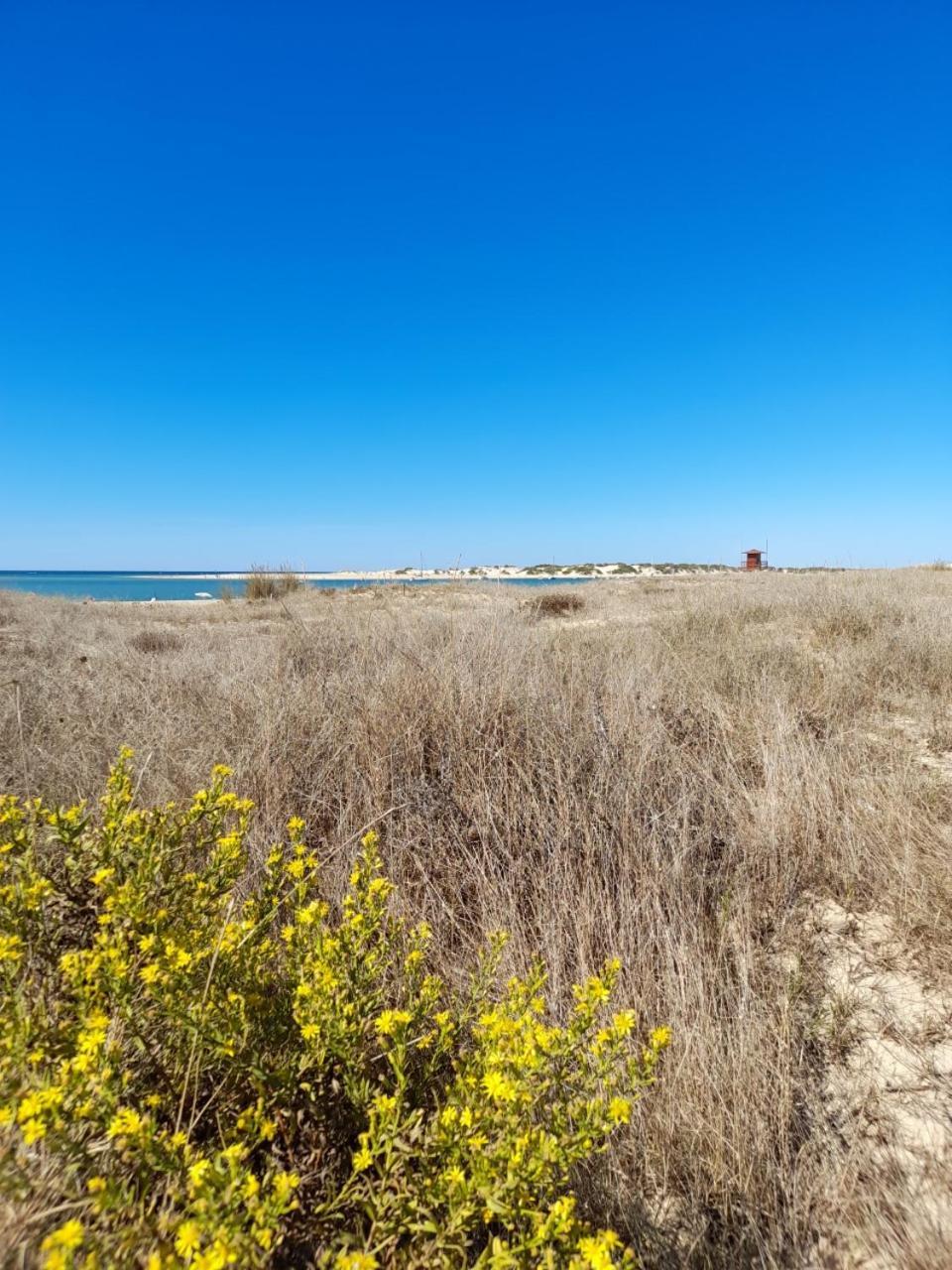 Apartamento Playa La Barrosa Chiclana de la Frontera Dış mekan fotoğraf