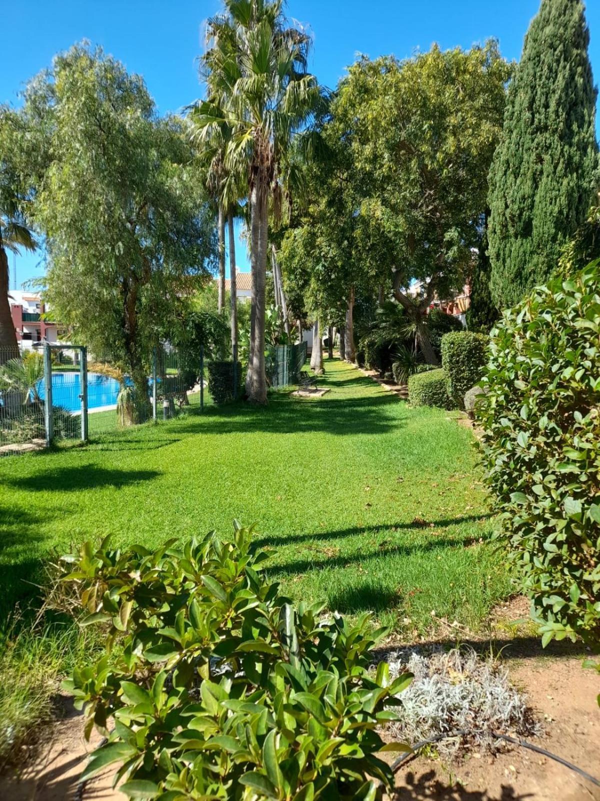 Apartamento Playa La Barrosa Chiclana de la Frontera Dış mekan fotoğraf